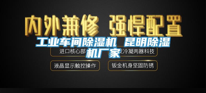 工業車間蘑菇视频网站 昆明蘑菇视频网站廠家