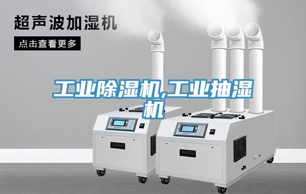工業蘑菇视频网站,工業抽濕機