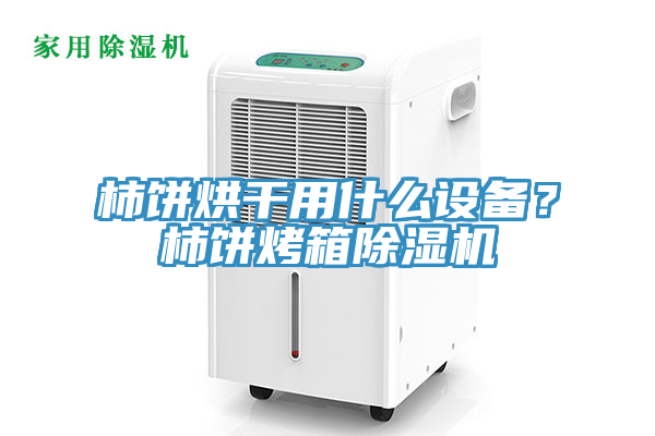 柿餅烘幹用什麽設備？柿餅烤箱蘑菇视频网站