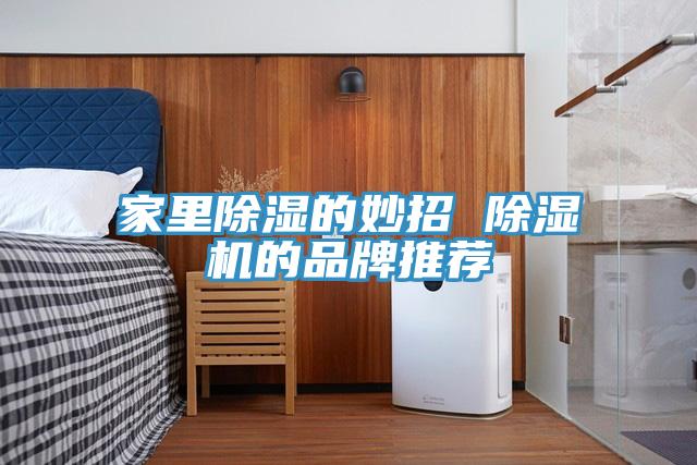 家裏除濕的妙招 蘑菇视频网站的品牌推薦