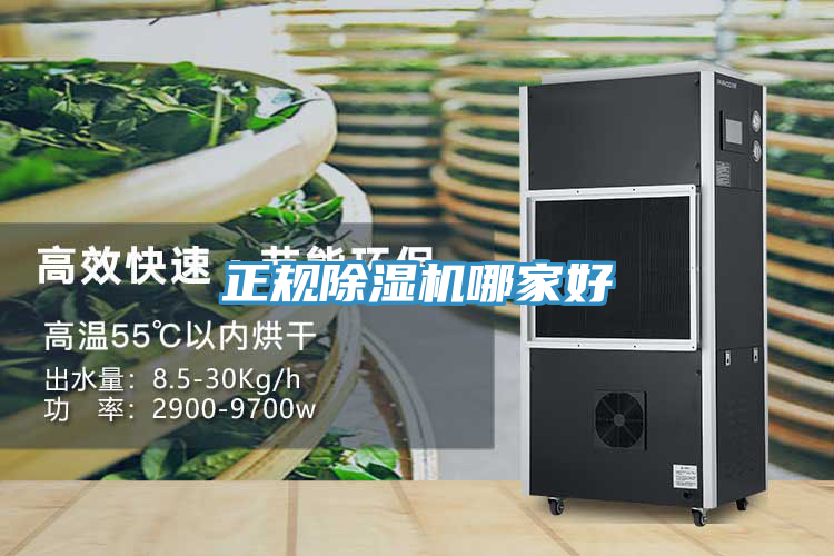 正規蘑菇视频网站哪家好