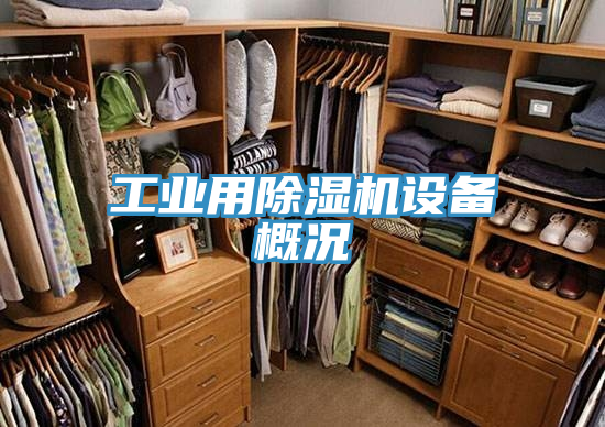 工業用蘑菇视频网站設備概況
