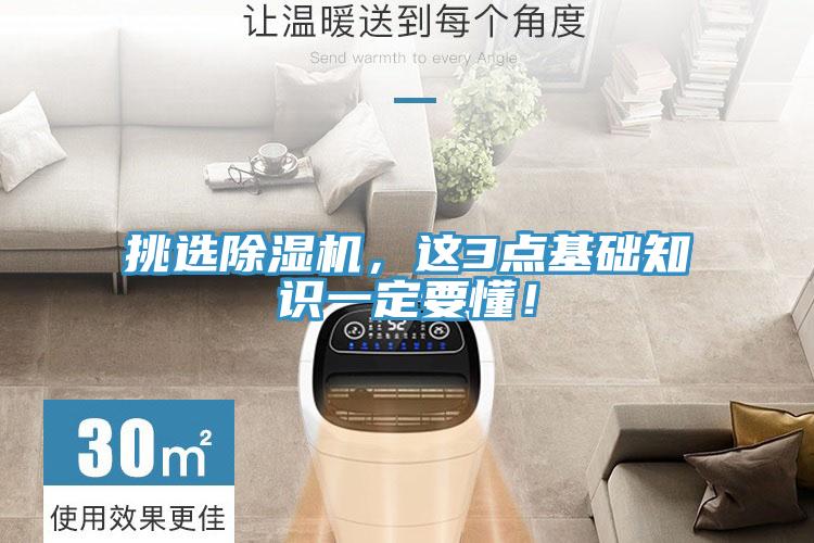 挑選蘑菇视频网站，這3點基礎知識一定要懂！