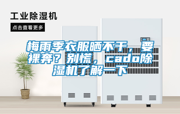 梅雨季衣服曬不幹，要裸奔？別慌，cado蘑菇视频网站了解一下