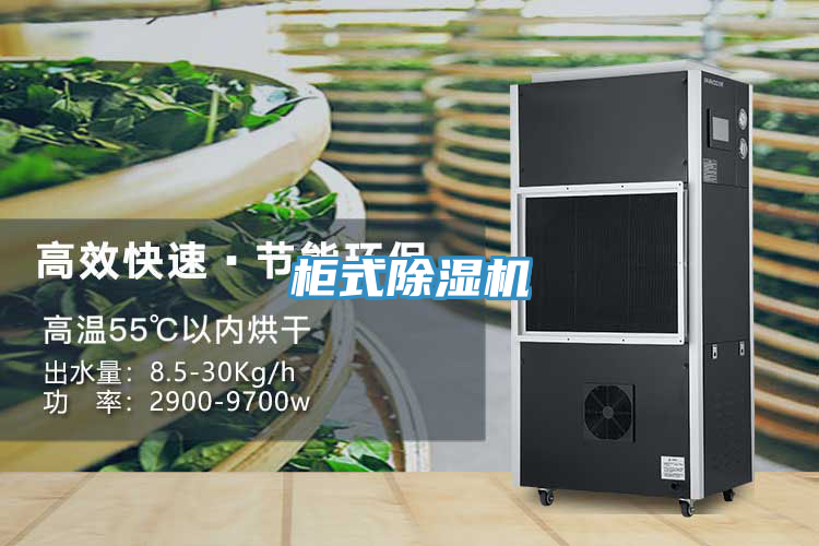 櫃式蘑菇视频网站