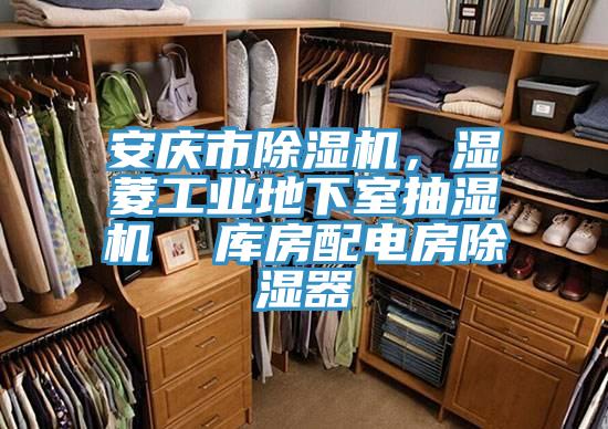 安慶市蘑菇视频网站，濕菱工業地下室抽濕機  庫房配電房除濕器