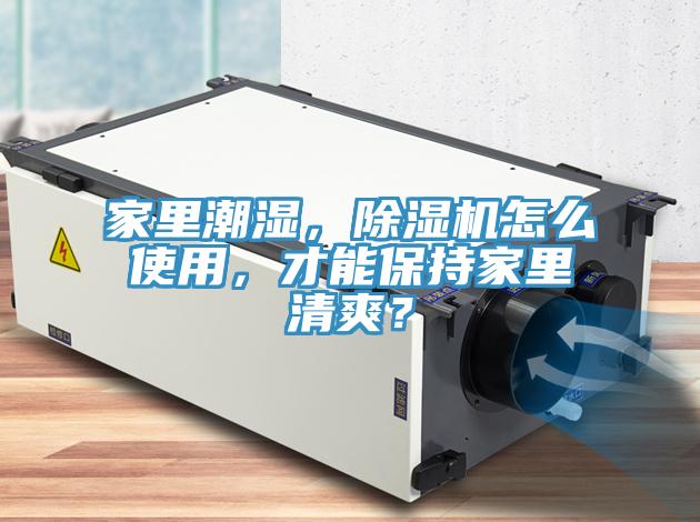 家裏潮濕，蘑菇视频网站怎麽使用，才能保持家裏清爽？
