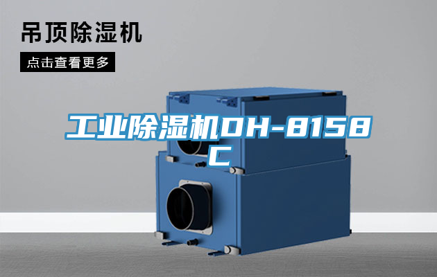 工業蘑菇视频网站DH-8158C