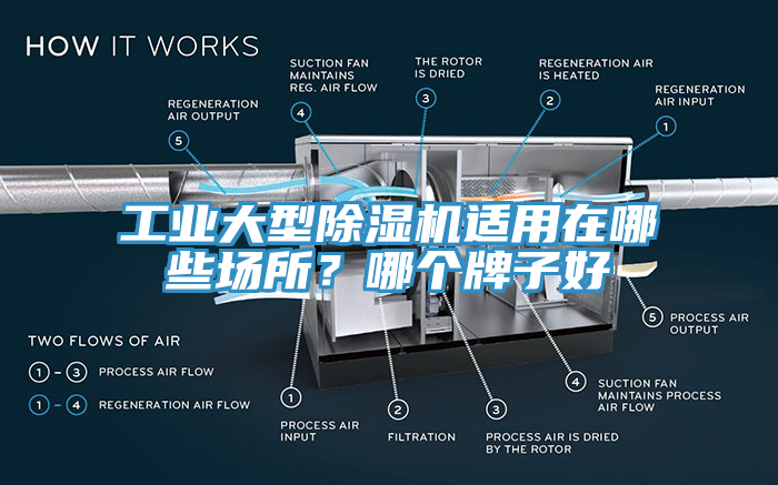 工業大型蘑菇视频网站適用在哪些場所？哪個牌子好