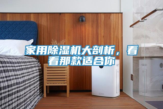 家用蘑菇视频网站大剖析，看看那款適合你