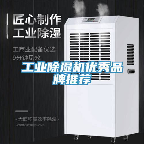工業蘑菇视频网站優秀品牌推薦