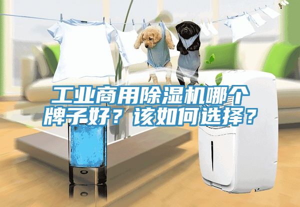 工業商用蘑菇视频网站哪個牌子好？該如何選擇？