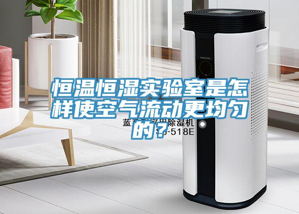 恒溫恒濕實驗室是怎樣使空氣流動更均勻的？