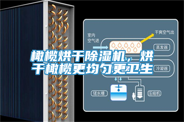 橄欖烘幹蘑菇视频网站，烘幹橄欖更均勻更衛生