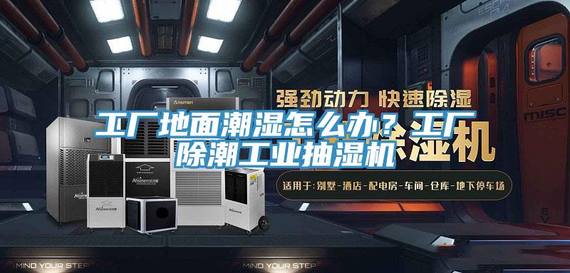 工廠地麵潮濕怎麽辦？工廠除潮工業抽濕機