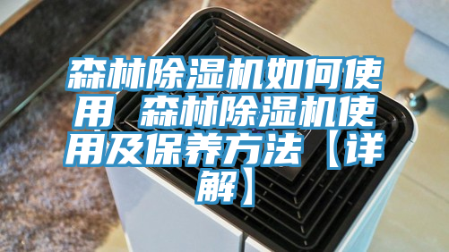 森林蘑菇视频网站如何使用 森林蘑菇视频网站使用及保養方法【詳解】