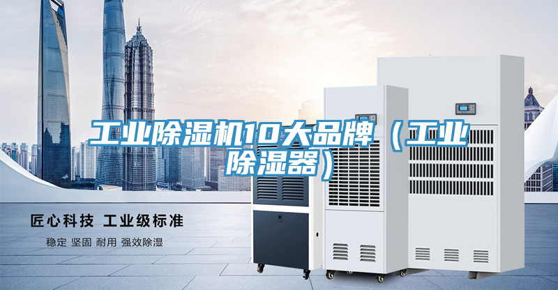 工業蘑菇视频网站10大品牌（工業除濕器）