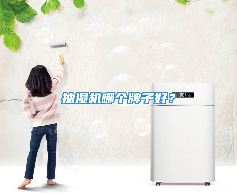 抽濕機哪個牌子好？