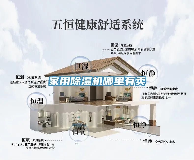 家用蘑菇视频网站哪裏有賣