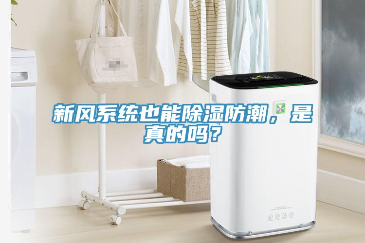 新風係統也能除濕防潮，是真的嗎？