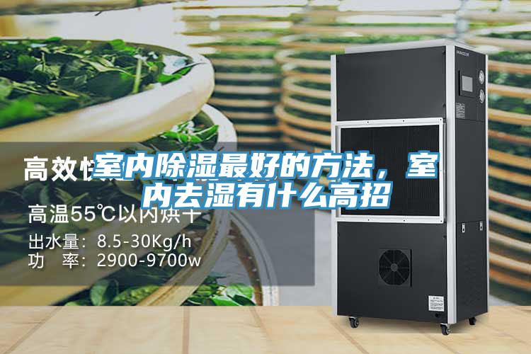 室內除濕最好的方法，室內去濕有什麽高招