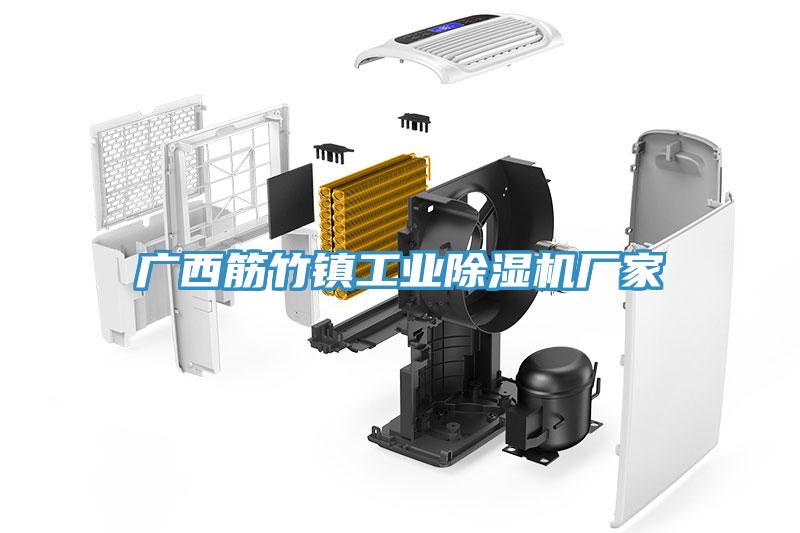 廣西筋竹鎮工業蘑菇视频网站廠家