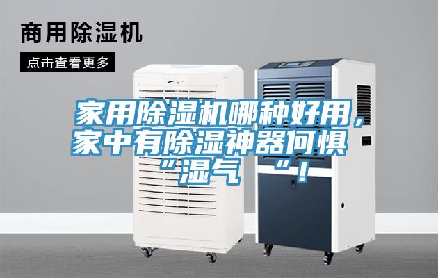 家用蘑菇视频网站哪種好用，家中有除濕神器何懼 “濕氣 “！