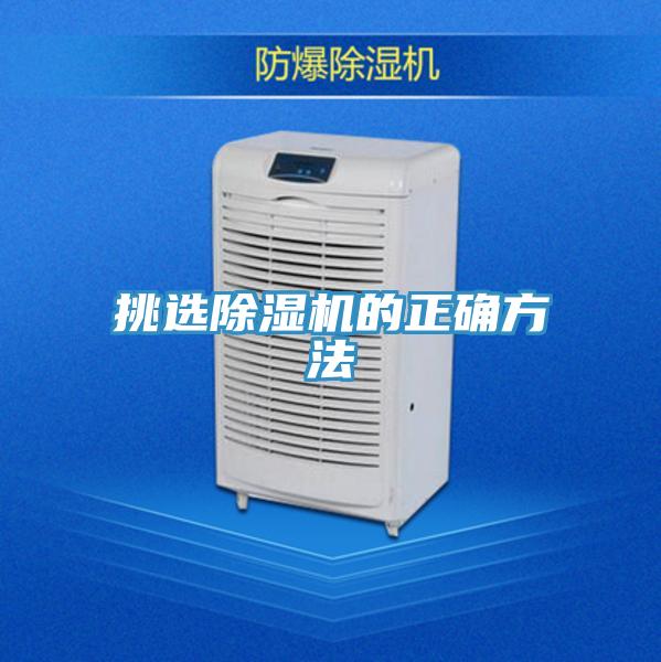 挑選蘑菇视频网站的正確方法