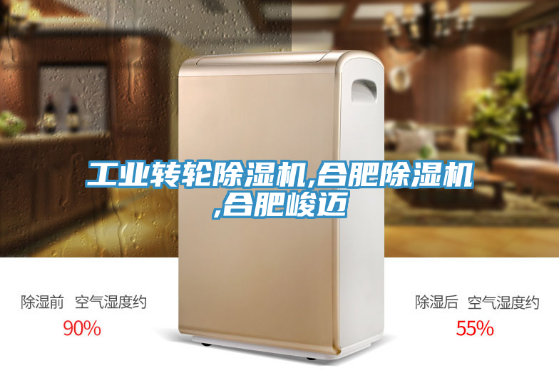 工業轉輪蘑菇视频网站,合肥蘑菇视频网站,合肥峻邁