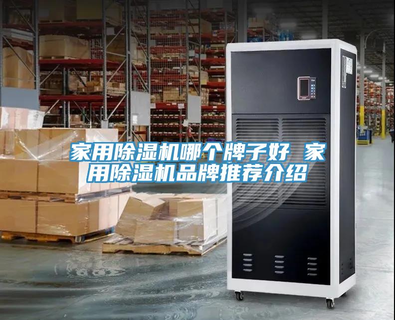 家用蘑菇视频网站哪個牌子好 家用蘑菇视频网站品牌推薦介紹