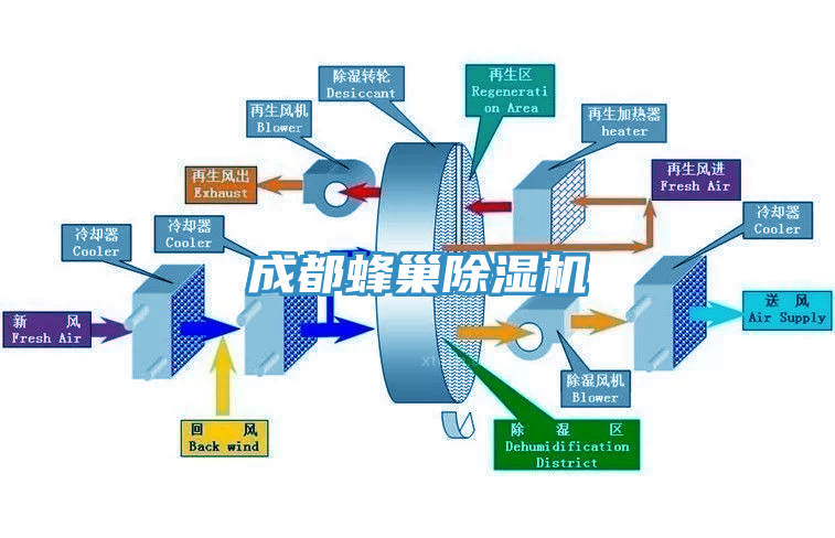成都蜂巢蘑菇视频网站
