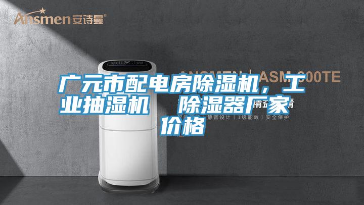 廣元市配電房蘑菇视频网站，工業抽濕機  除濕器廠家 價格