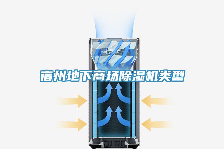 宿州地下商場蘑菇视频网站類型