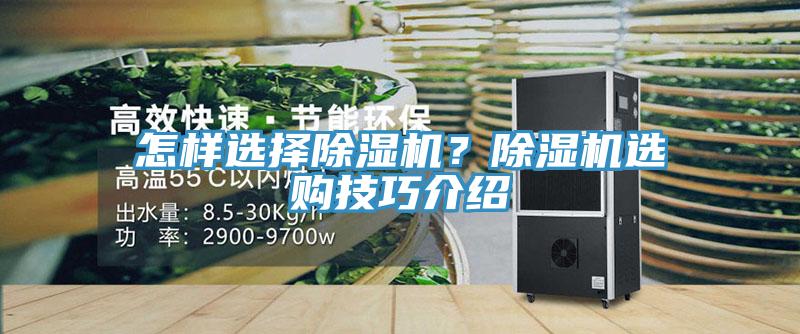 怎樣選擇蘑菇视频网站？蘑菇视频网站選購技巧介紹