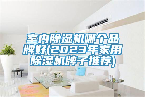 室內蘑菇视频网站哪個品牌好(2023年家用蘑菇视频网站牌子推薦)