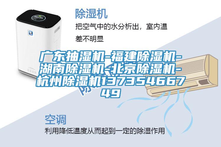 廣東抽濕機-福建蘑菇视频网站-湖南蘑菇视频网站-北京蘑菇视频网站-杭州蘑菇视频网站13735466749