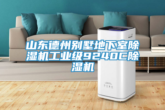 山東德州別墅地下室蘑菇视频网站工業級9240C蘑菇视频网站