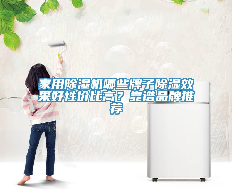 家用蘑菇视频网站哪些牌子除濕效果好性價比高？靠譜品牌推薦