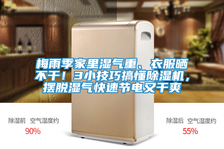 梅雨季家裏濕氣重、衣服曬不幹！3小技巧搞懂蘑菇视频网站，擺脫濕氣快速節電又幹爽