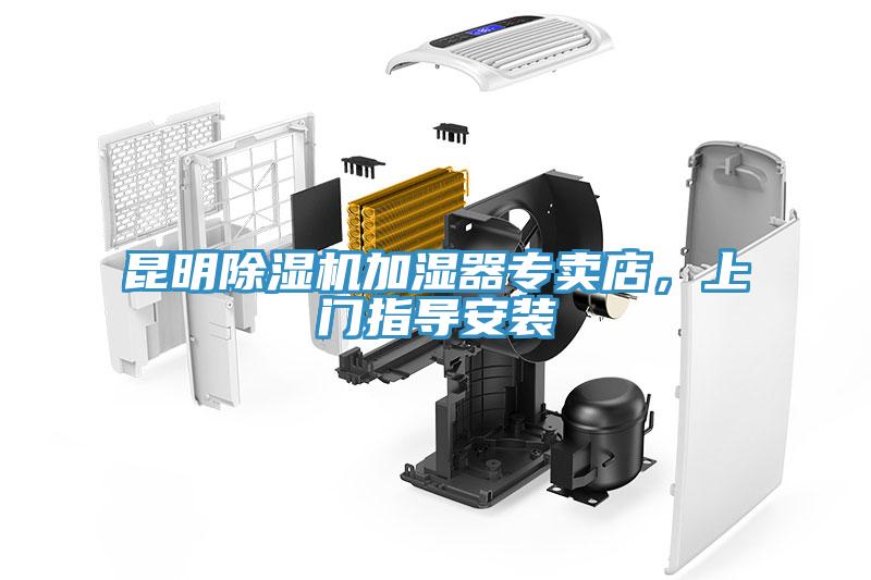 昆明蘑菇视频网站加濕器專賣店，上門指導安裝