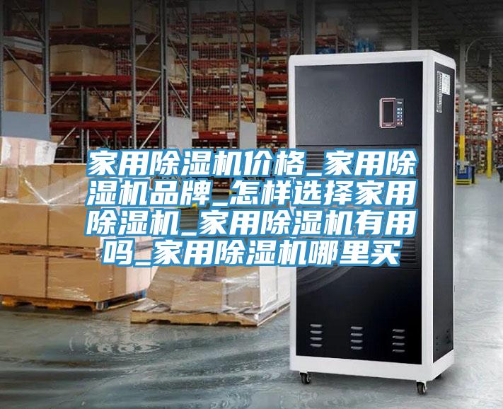 家用蘑菇视频网站價格_家用蘑菇视频网站品牌_怎樣選擇家用蘑菇视频网站_家用蘑菇视频网站有用嗎_家用蘑菇视频网站哪裏買