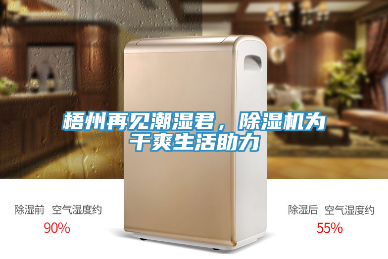 梧州再見潮濕君，蘑菇视频网站為幹爽生活助力