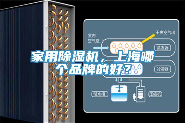 家用蘑菇视频网站，上海哪個品牌的好？