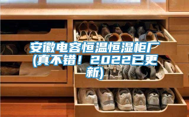 安徽電容恒溫恒濕櫃廠(真不錯！2022已更新)