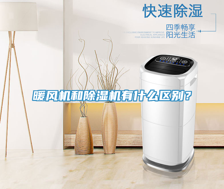 暖風機和蘑菇视频网站有什麽區別？