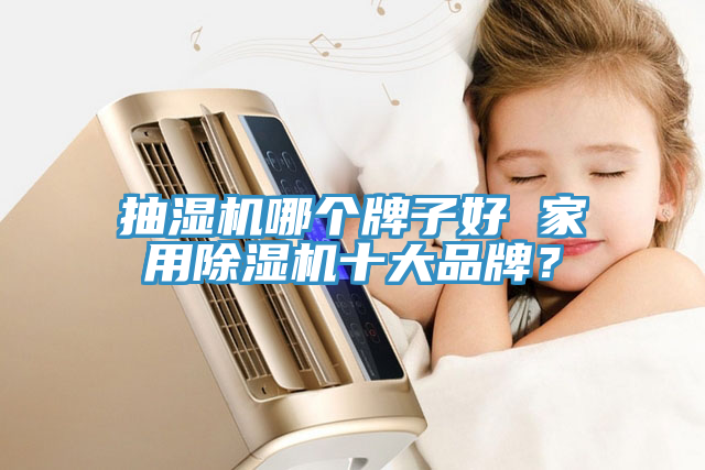 抽濕機哪個牌子好 家用蘑菇视频网站十大品牌？