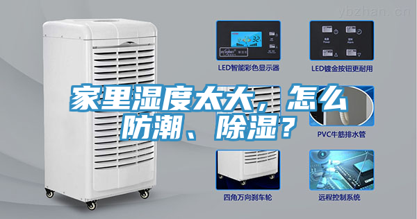 家裏濕度太大，怎麽防潮、除濕？