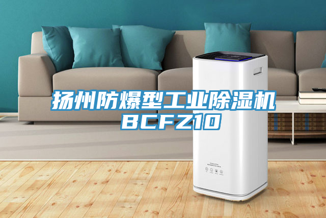 揚州防爆型工業蘑菇视频网站 BCFZ10