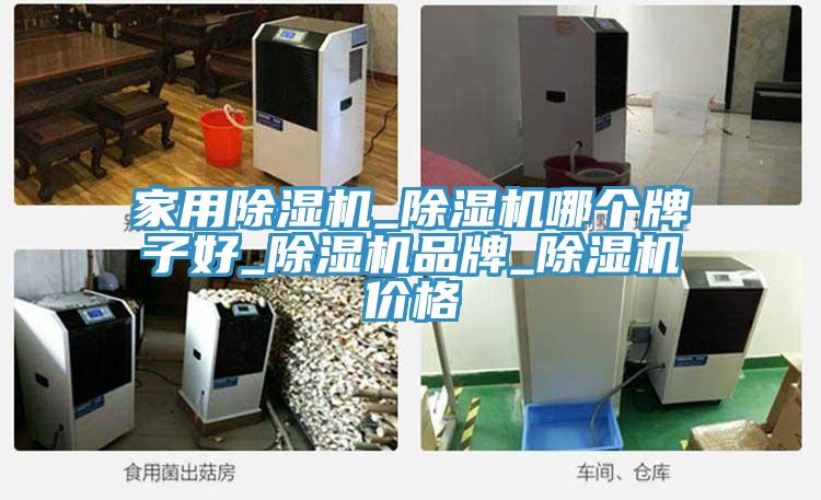 家用蘑菇视频网站_蘑菇视频网站哪個牌子好_蘑菇视频网站品牌_蘑菇视频网站價格