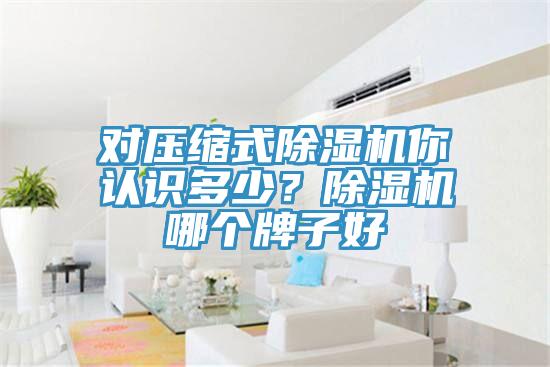 對壓縮式蘑菇视频网站你認識多少？蘑菇视频网站哪個牌子好